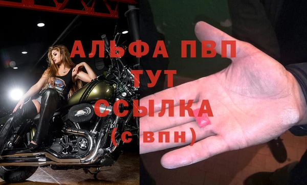 марки nbome Белокуриха