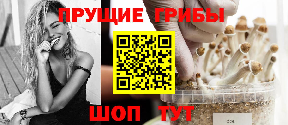 Валуйки  где продают   Вход с VPN  Псилоцибиновые грибы мицелий 